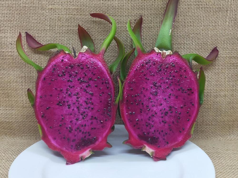 Jade Red dragon fruit halved